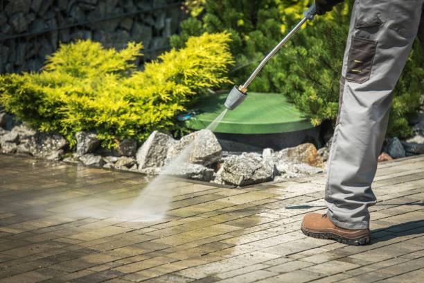 Professional Pressure Washing Services in Cannon Falls, MN