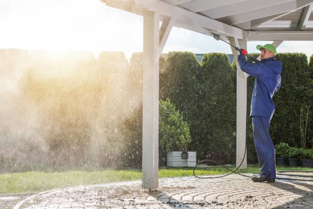 Best Pool Deck Cleaning in Cannon Falls, MN