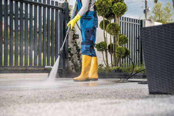 Best Gutter Cleaning and Brightening in Cannon Falls, MN