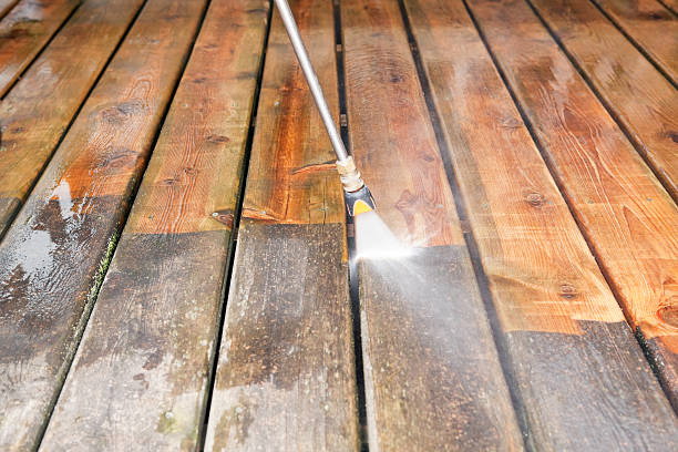 Best Vinyl Siding Pressure Washing in Cannon Falls, MN